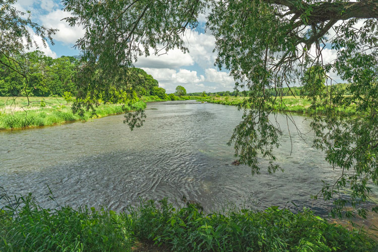 Zusammenfluss der Freiberger und Zwickauer Mulde bei Sermuth © Ronny Ehrenfeld/c-macs